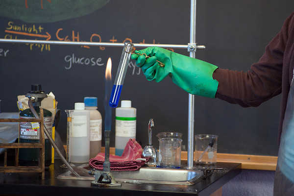 Waldorf Middle School