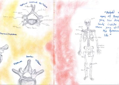 A student's main lesson book showing skeletal anatomy of a human drawn in beautiful detail with a thoughtful quote to accompany the drawings.