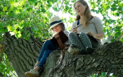 Teaching (and learning) is relationship based!