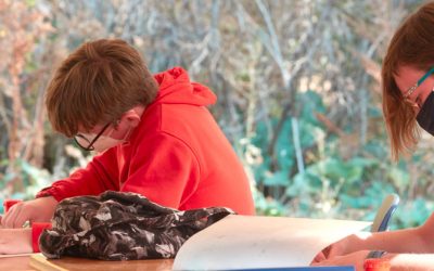 The Pandemic so far…